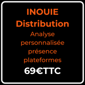 Analyse personnalisée présence sur les plateformes