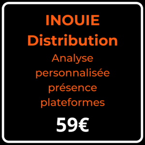 Analyse personnalisée présence sur les plateformes