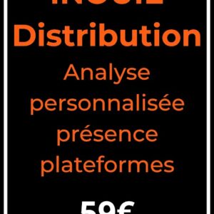 Analyse personnalisée présence sur les plateformes
