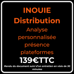 Analyse personnalisée présence sur les plateformes